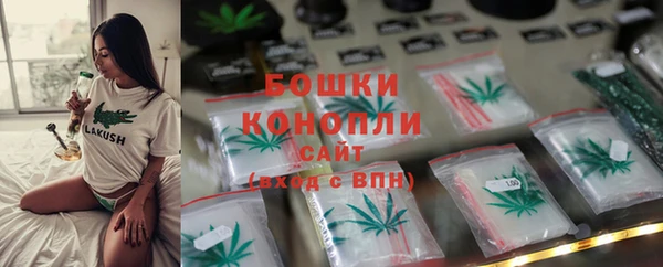 ГАЛЛЮЦИНОГЕННЫЕ ГРИБЫ Бугульма