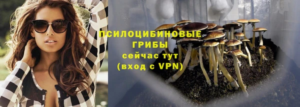 ГАЛЛЮЦИНОГЕННЫЕ ГРИБЫ Бугульма