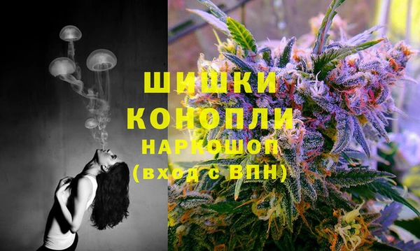 ГАЛЛЮЦИНОГЕННЫЕ ГРИБЫ Бугульма