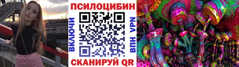 Купить закладки  Котово  Псилоцибиновые грибы Magic Shrooms 